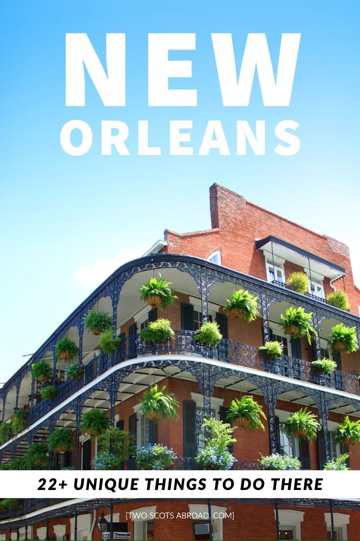 unusual things to do in new orleans
